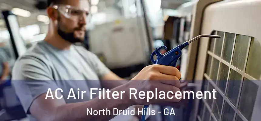  AC Air Filter Replacement North Druid Hills - GA