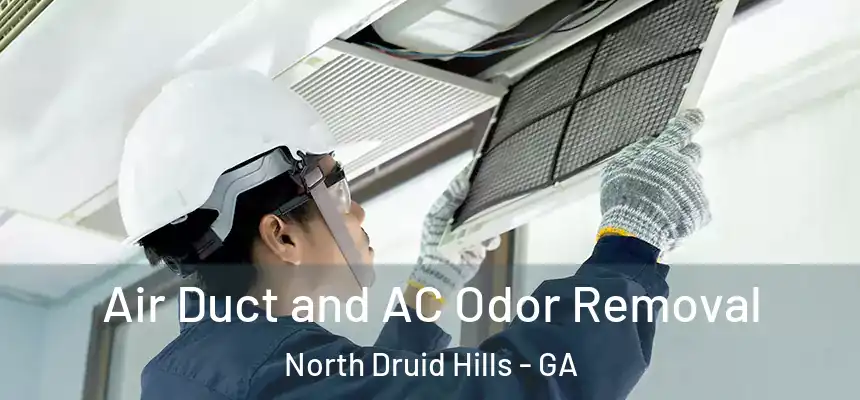Air Duct and AC Odor Removal North Druid Hills - GA