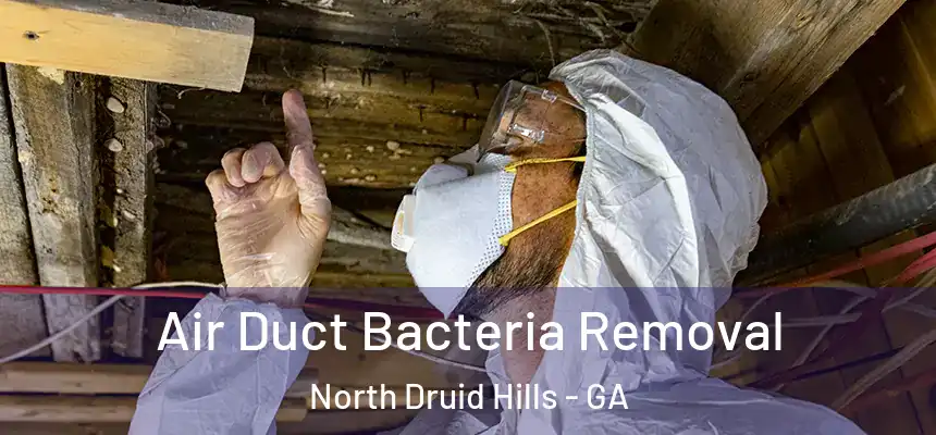 Air Duct Bacteria Removal North Druid Hills - GA