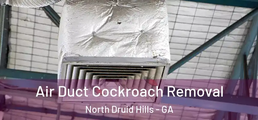  Air Duct Cockroach Removal North Druid Hills - GA