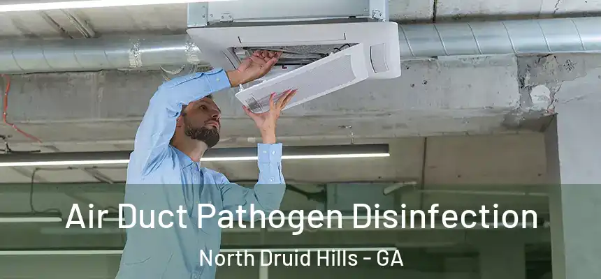 Air Duct Pathogen Disinfection North Druid Hills - GA