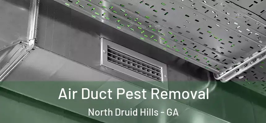  Air Duct Pest Removal North Druid Hills - GA