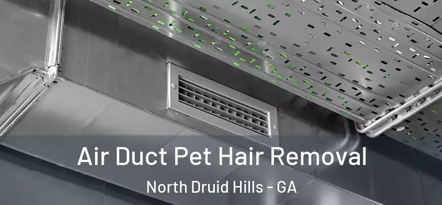  Air Duct Pet Hair Removal North Druid Hills - GA