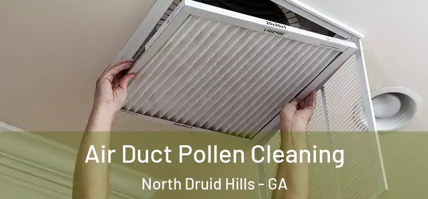  Air Duct Pollen Cleaning North Druid Hills - GA