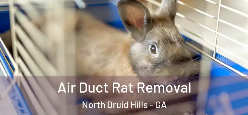  Air Duct Rat Removal North Druid Hills - GA