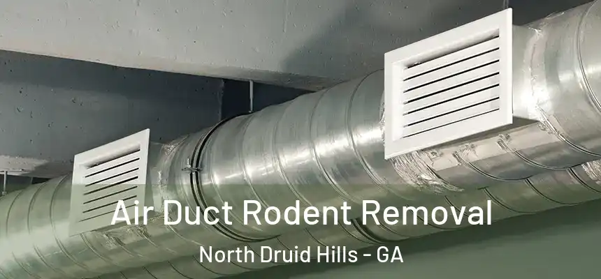  Air Duct Rodent Removal North Druid Hills - GA