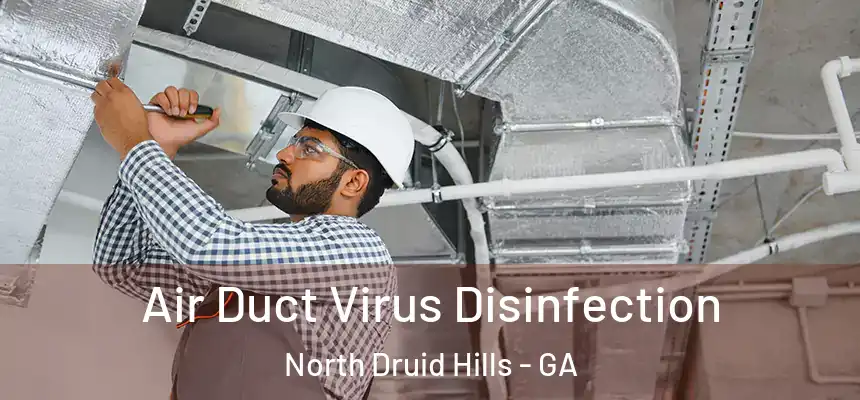  Air Duct Virus Disinfection North Druid Hills - GA