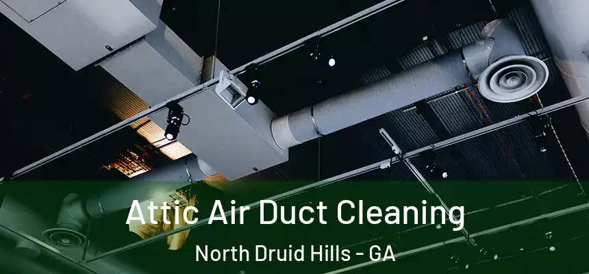  Attic Air Duct Cleaning North Druid Hills - GA