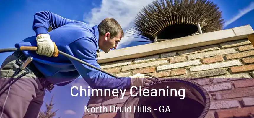 Chimney Cleaning North Druid Hills - GA