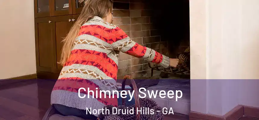  Chimney Sweep North Druid Hills - GA