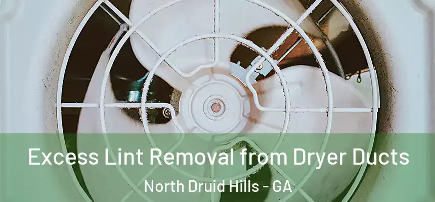 Excess Lint Removal from Dryer Ducts North Druid Hills - GA
