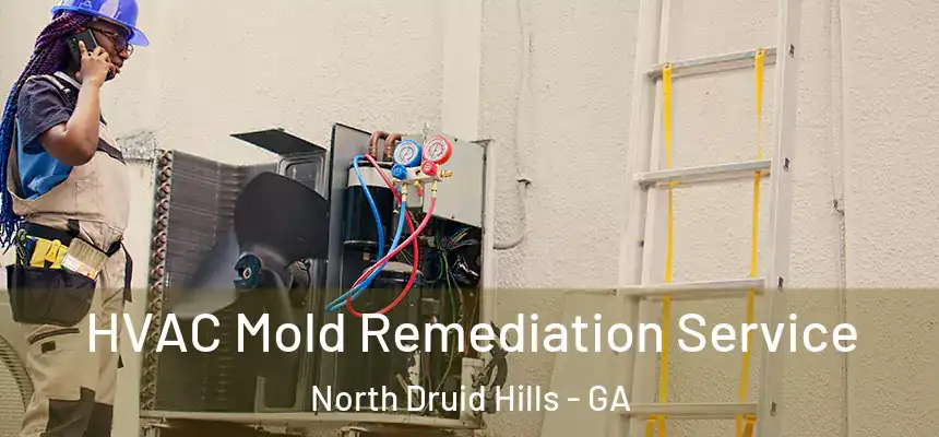 HVAC Mold Remediation Service North Druid Hills - GA
