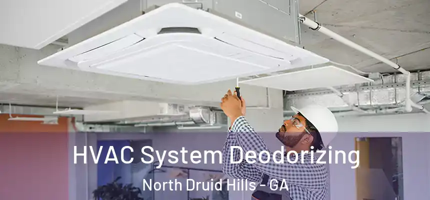 HVAC System Deodorizing North Druid Hills - GA