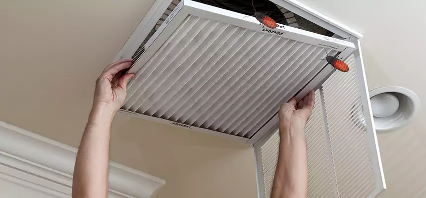 Preventive Cockroach-Proofing for Ducts in North Druid Hills