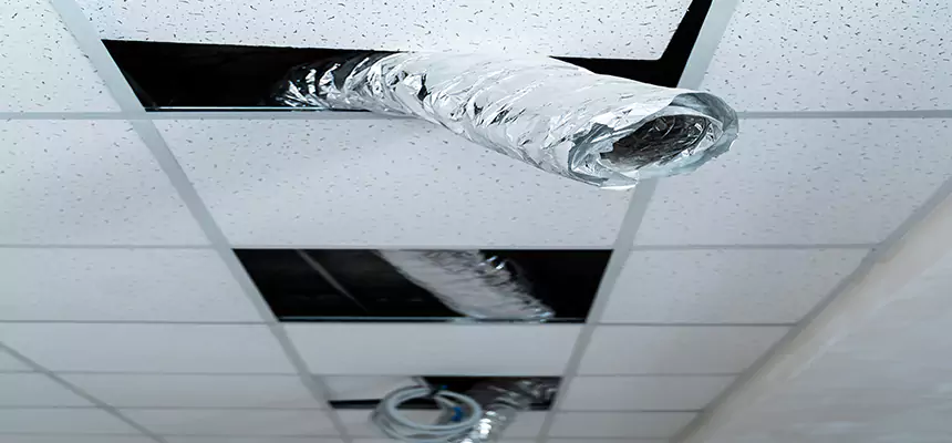 Affordable HVAC Sanitizing After Pest Removal in North Druid Hills