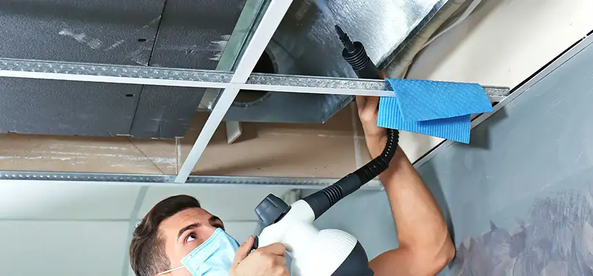 Our Air Duct Rodent Removal Services in North Druid Hills, GA