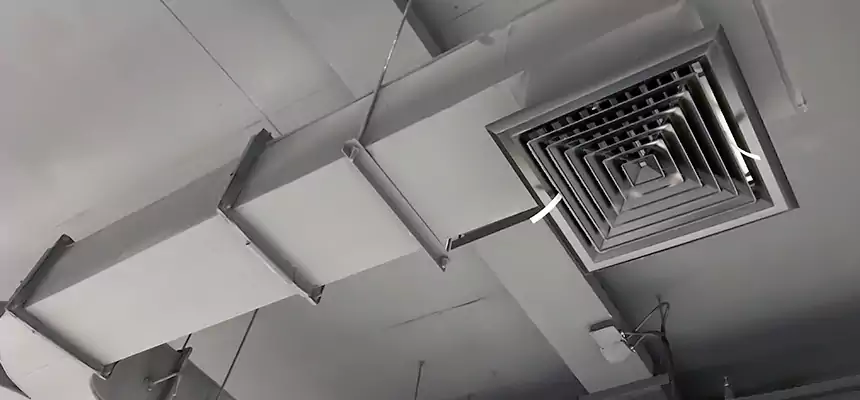 Restorative Allergy Relief Vent Cleaning – Coil, Blower & Housing Detail in North Druid Hills