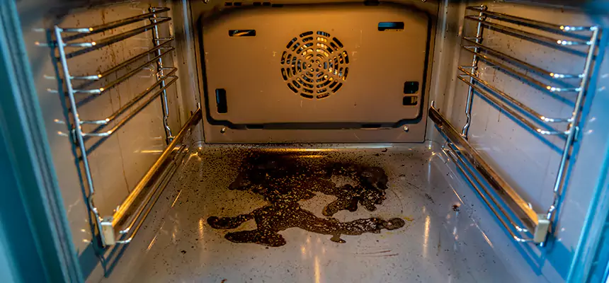 Our Dryer Vent Mold Cleaning Services in North Druid Hills, GA