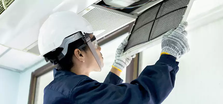 Our Mold & Mildew Removal from Air Ducts Services in North Druid Hills, GA