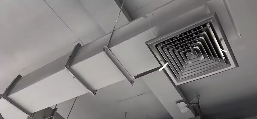 Our Pest Removal From Ducts Services in North Druid Hills, GA