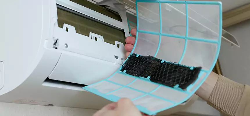 Gentle Ductwork Odor-Control Pet Dander Duct Cleaning in North Druid Hills, GA