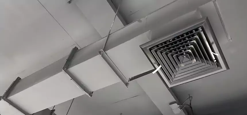 Our Rodent Droppings In Vents Services in North Druid Hills, GA