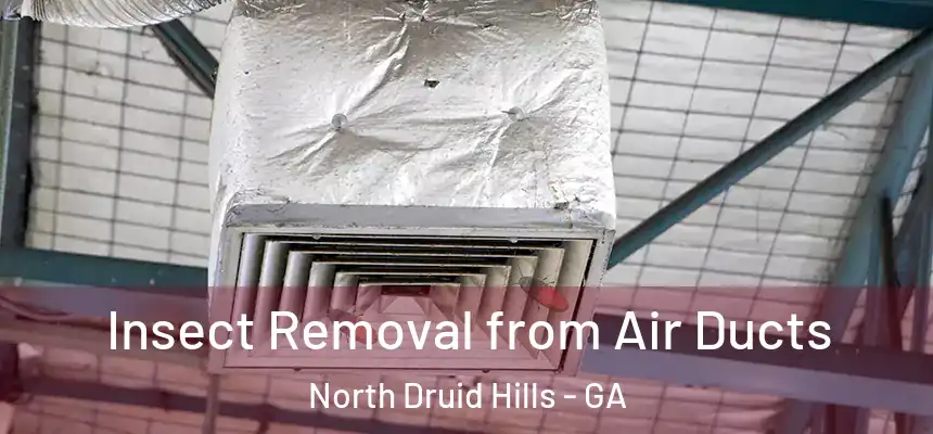  Insect Removal from Air Ducts North Druid Hills - GA