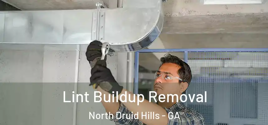  Lint Buildup Removal North Druid Hills - GA
