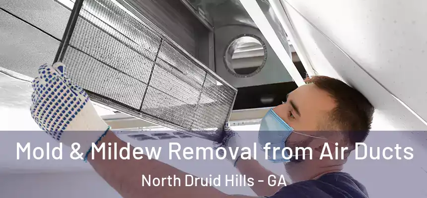  Mold & Mildew Removal from Air Ducts North Druid Hills - GA