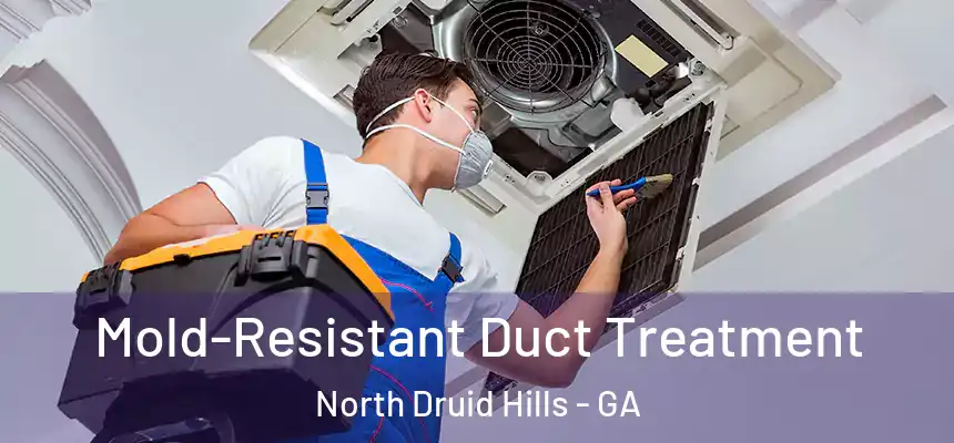  Mold-Resistant Duct Treatment North Druid Hills - GA