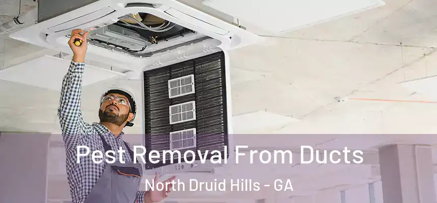 Pest Removal From Ducts North Druid Hills - GA