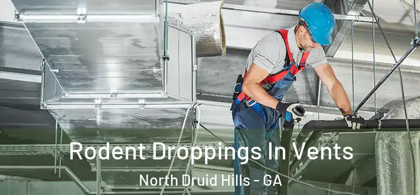  Rodent Droppings In Vents North Druid Hills - GA