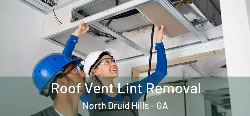  Roof Vent Lint Removal North Druid Hills - GA