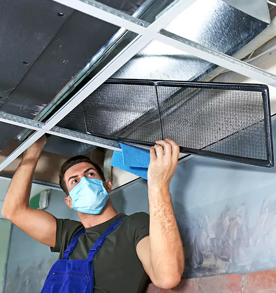 About Air Duct Bacteria Removal in North Druid Hills