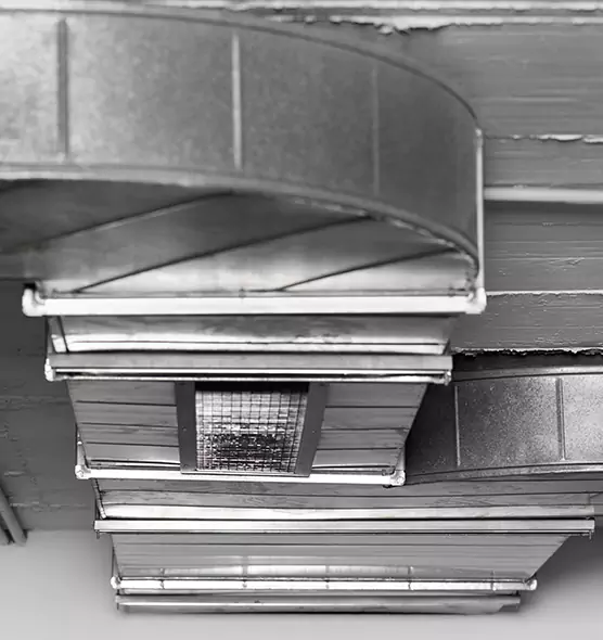 Professional Air Duct Pet Hair Removal in North Druid Hills, GA