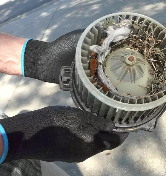 About Air Duct Rat Removal in North Druid Hills, GA