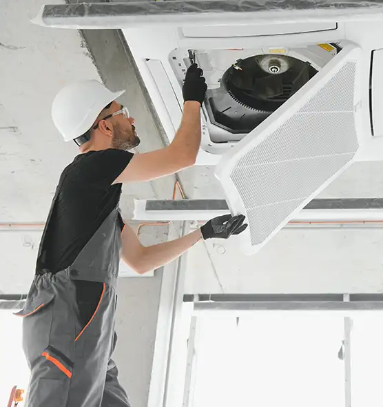 About Air Duct Rodent Removal in North Druid Hills, GA