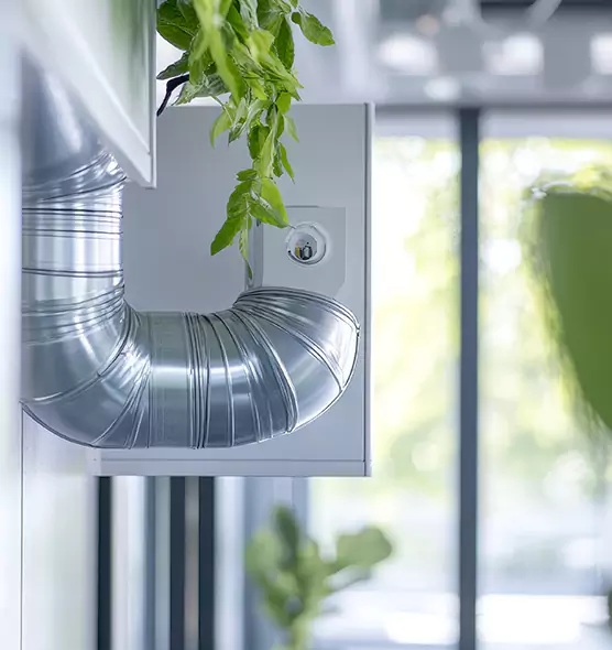 Professional Eco-Safe Dryer Vent Cleaning in North Druid Hills, GA