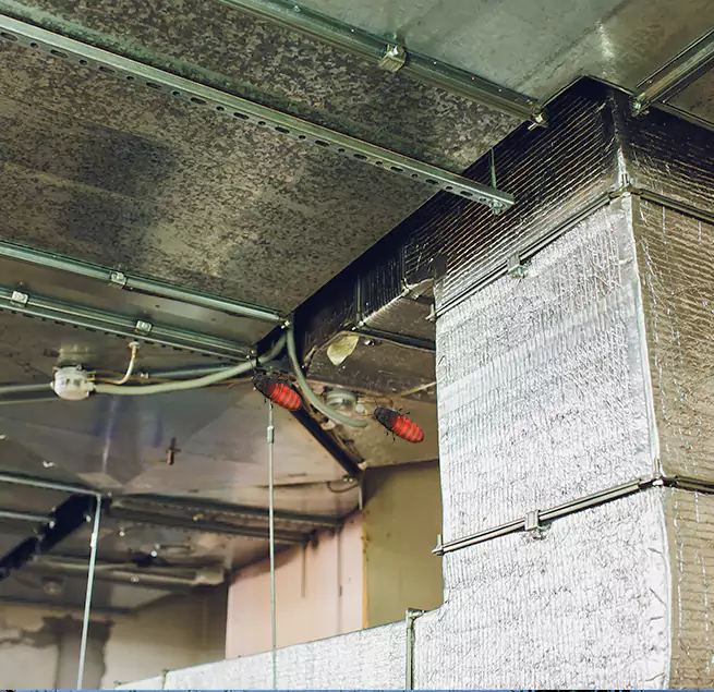 Why Homeowners & Businesses Trust Us in North Druid Hills, GA?