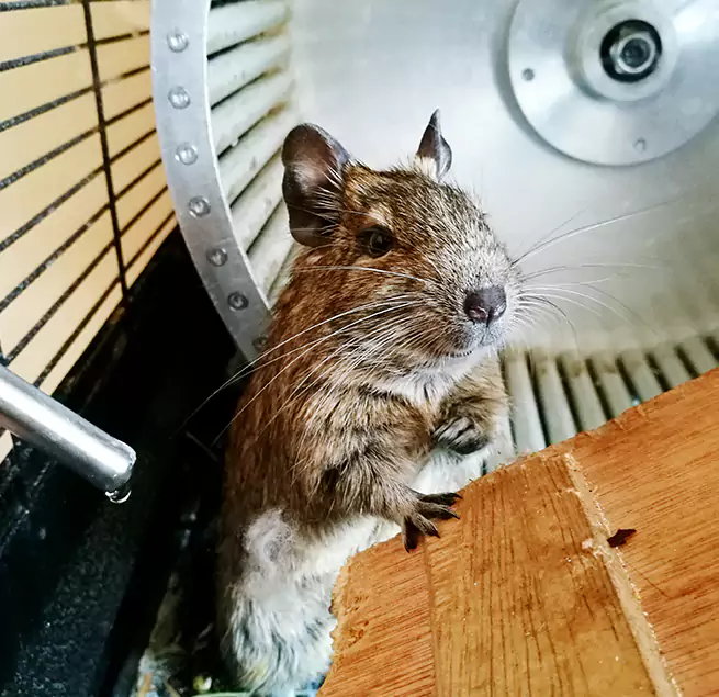 Why Homeowners & Businesses Trust Us North Druid Hills, GA?