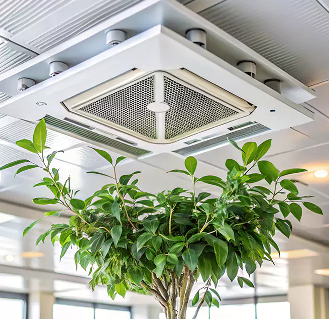 Why Homeowners & Businesses Trust Us in North Druid Hills, GA?