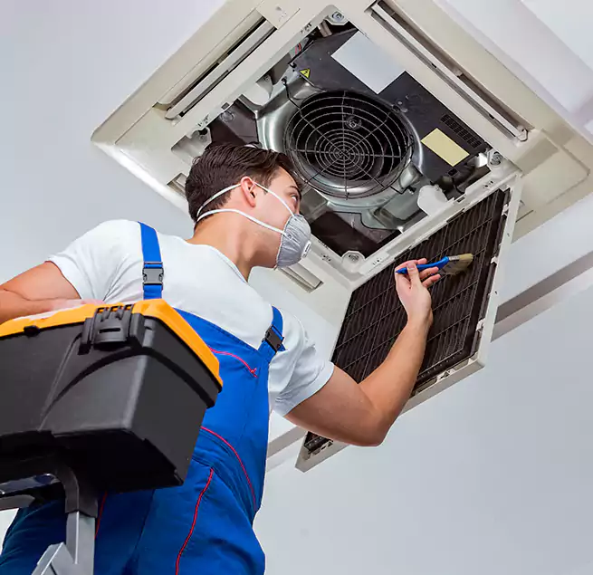 Why Homeowners & Businesses Trust Us in North Druid Hills, GA?