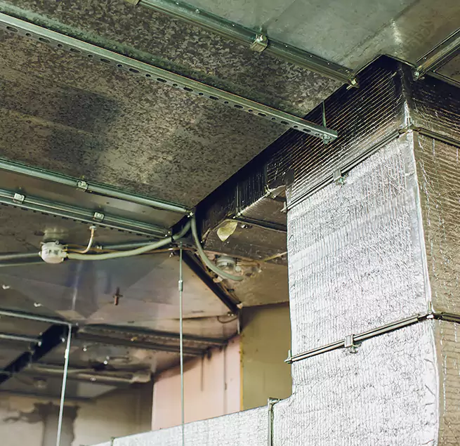 Why Homeowners & Businesses Trust Us in North Druid Hills, GA?