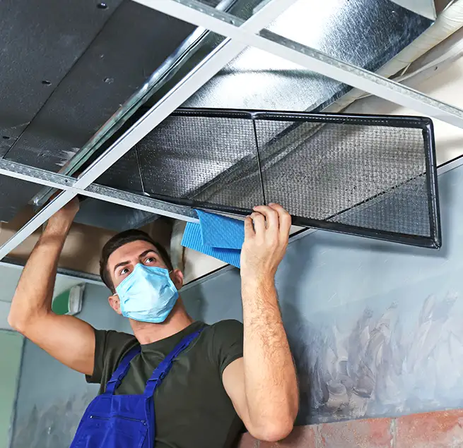 Why Homeowners & Businesses Trust Us in North Druid Hills, GA?