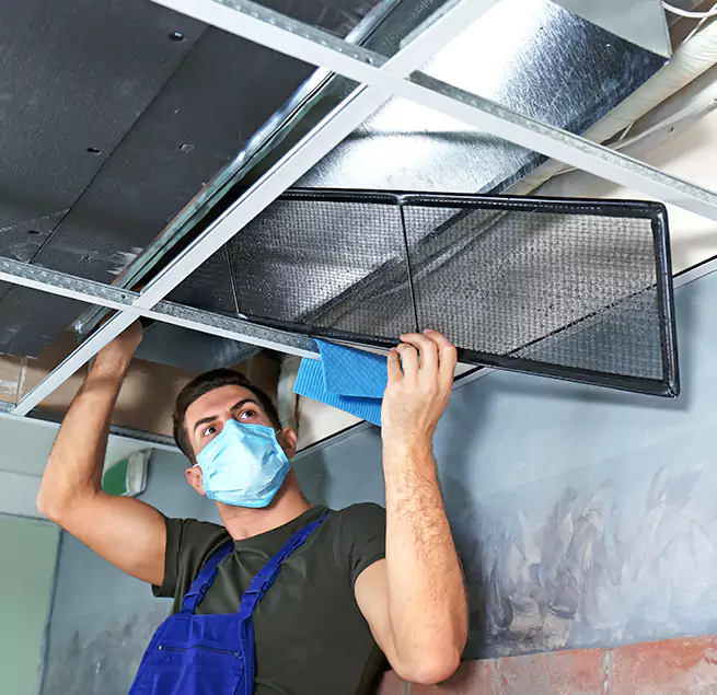 Why Homeowners & Businesses Trust Us in North Druid Hills, GA?